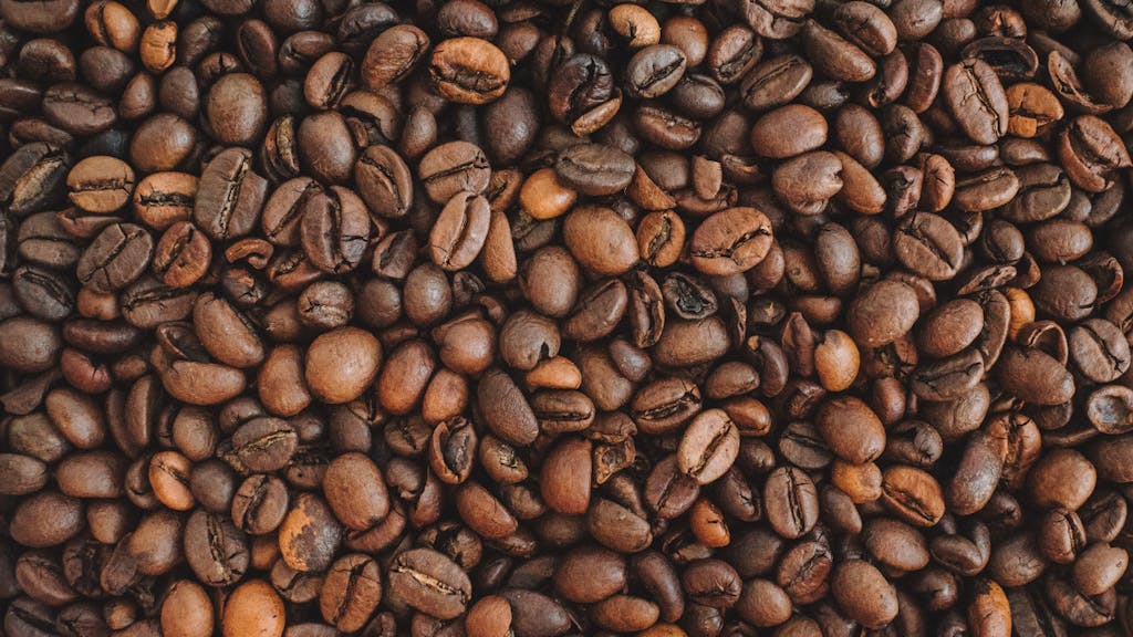 Cómo elegir el mejor grano de café para tu perfil de sabor